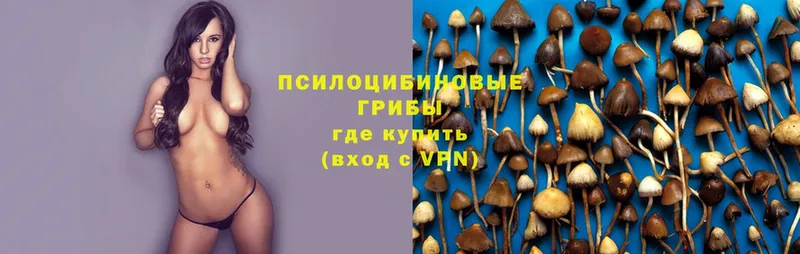 Галлюциногенные грибы MAGIC MUSHROOMS  как найти   Анива 